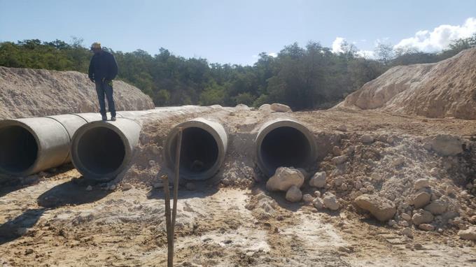 Defensa afirma “se han tocado” cerca seis mil metros cuadrados de mangles en construcción del muro
