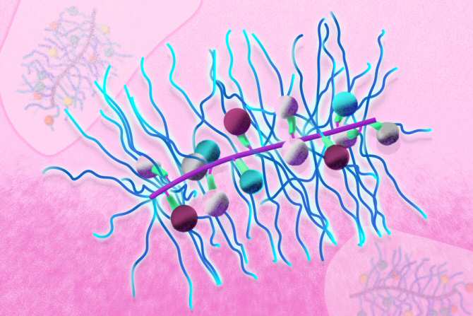 Nanopartícula con múltiples fármacos anticáncer