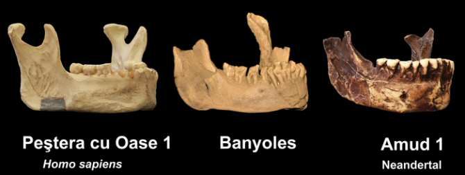 El misterio de un humano que existió en Banyoles hace más de 40.000 años
