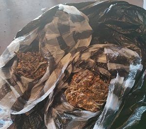Policía de Boca Chica intervienen en las últimas 24 horas diferentes puntos de ventas de drogas