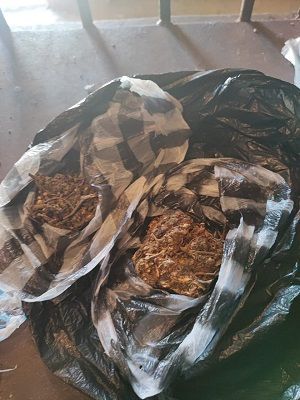 Policía de Boca Chica intervienen en las últimas 24 horas diferentes puntos de ventas de drogas