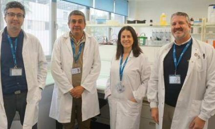 Plantas de la dieta mediterránea para reducir el riesgo cardiovascular