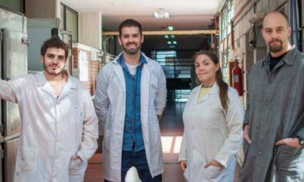 Desarrollan nanopartículas para reducir la inflamación crónica del hígado