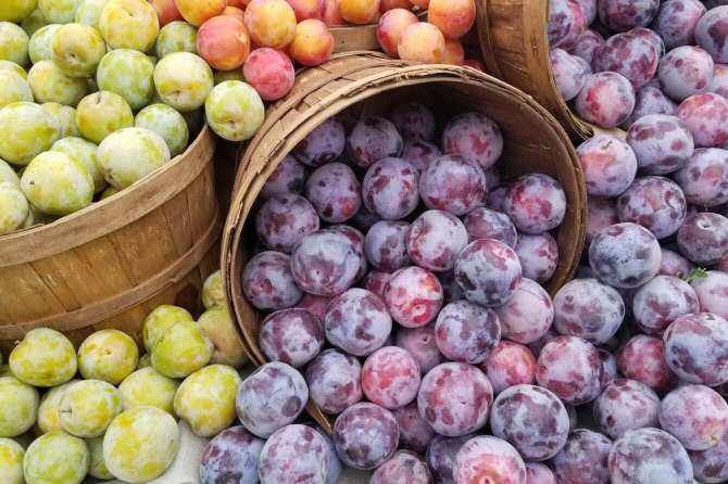 La mejor dieta para luchar contra el calentamiento global