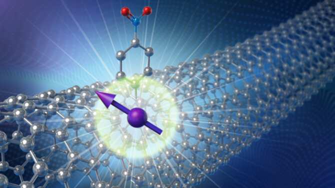 Nanotubos de carbono para albergar bits cuánticos