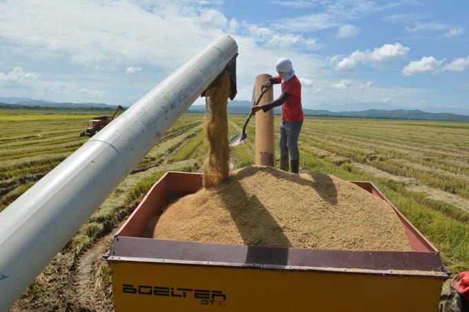 Gobierno promete dar ayudas al sector arrocero