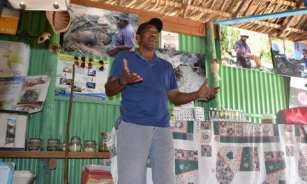 Negro, el protector de las tortugas de la isla Saona