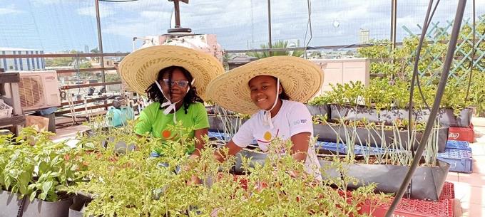 En Villas Agrícolas, ONG abre camino a la conciencia ecológica
