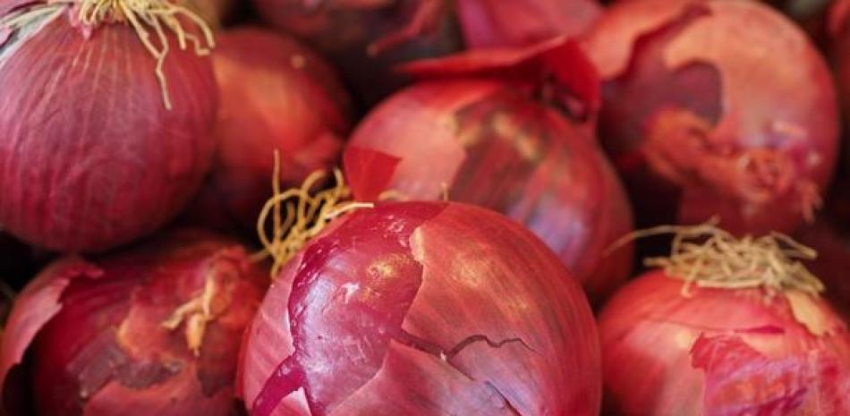Gobierno incumple con comerciantes de cebolla y productores muestran preocupación por sus deudas