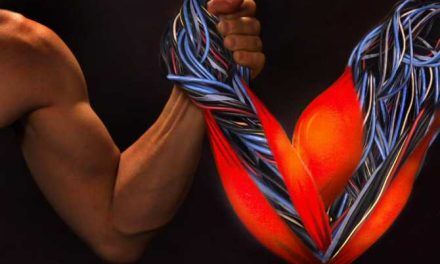 Hacia un material más seguro para músculos artificiales