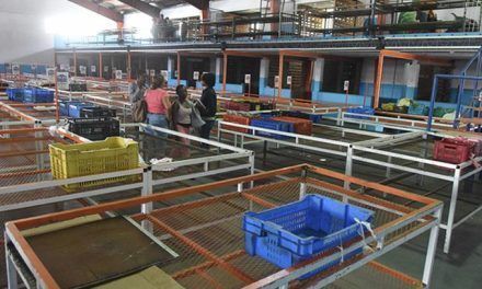 Alcaldía recupera espacio operaba el mercado Pintura por más de 30 años