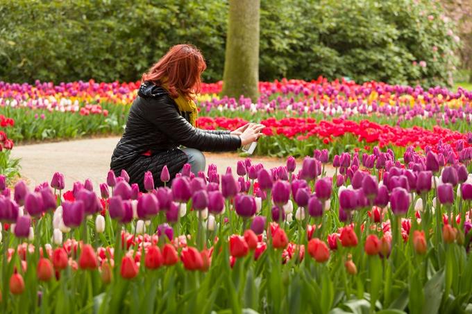 El jardín de Europa se llena de color