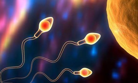 Hallan un gen que podría ser clave como anticonceptivo masculino