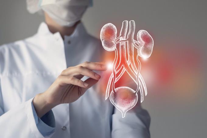 Signos de alarma del cáncer de vejiga