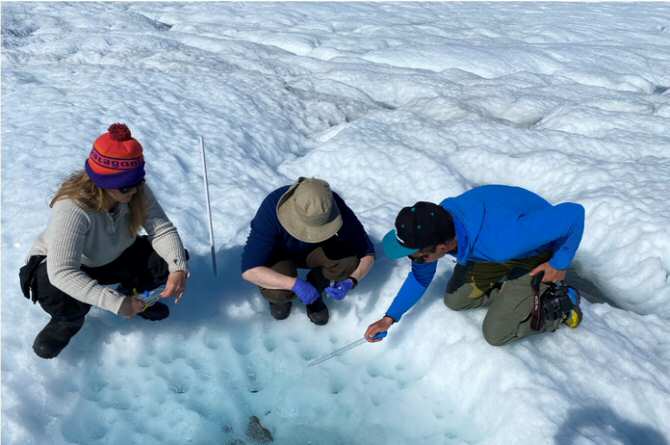 Las asombrosas formas de vida minúsculas del hielo