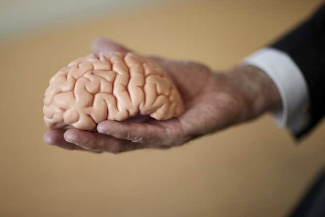¿El Mal de Alzheimer comienza en el intestino?