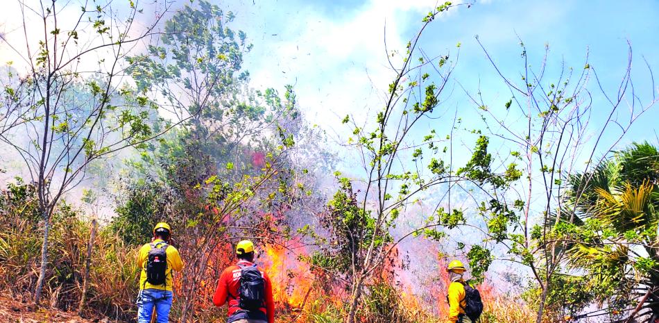 Apagan fuegos forestales y lo que ganan no les da para vivir