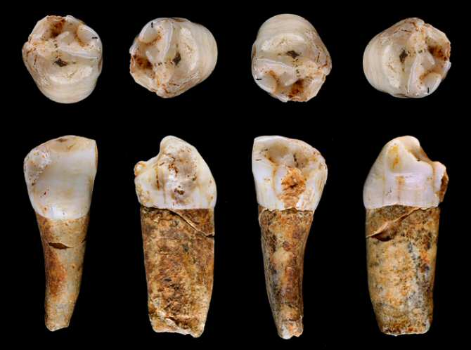 ¿Era el estilo de vida neandertal muy distinto del de los humanos anatómicamente modernos?