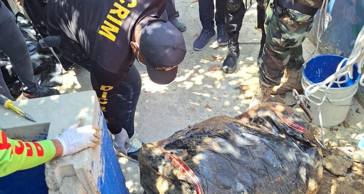 Encuentran enterrado en una maleta el cuerpo de empresario vegano; acusan un amigo del hecho
