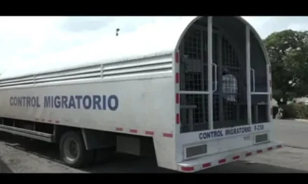 Migración afirma haitianos deportados son entregados a autoridades de su país