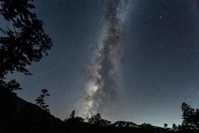En busca de la Teoría Unificada: Explorando el camino hacia la unificación de las fuerzas físicas