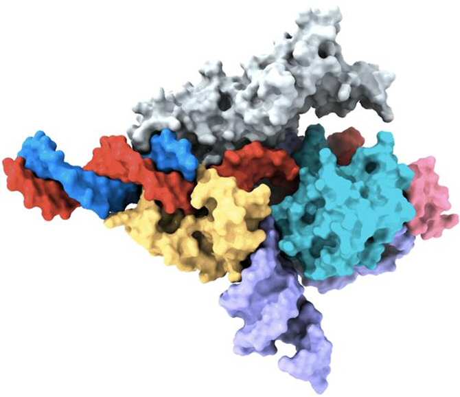 Descubren un nuevo y más sofisticado sistema para modificar el genoma humano