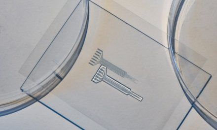 Inventan un electrodo sin metal, blando e imprimible