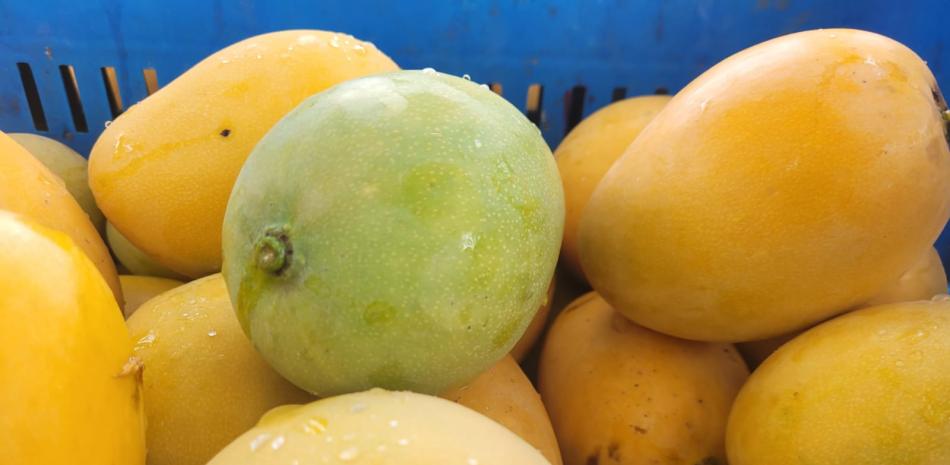 Exportación y crecimiento del mercado del mango en el país
