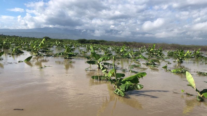 Agricultura evalúa efectos de las lluvias