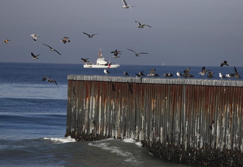 El fenómeno de El Niño provoca la muerte de cientos de aves en el Pacífico mexicano
