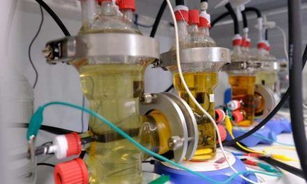 Bacterias que elaboran productos útiles cuando se las energiza con electricidad