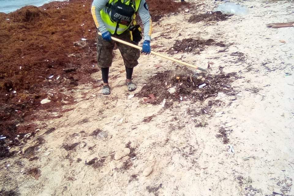 Alcalde de Boca Chica asegura el problema del sargazo ha provocado una reducción de un 85% en el turismo y comercio de Boca Chica
