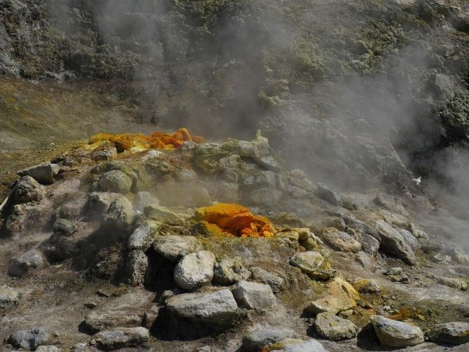 Explorando los límites extremos de la vida: La influencia de la temperatura