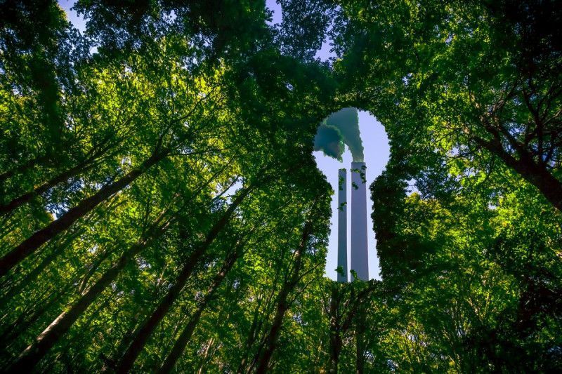 Greenwashing: el falso compromiso de muchas empresas que dicen ser ‘ecoamigables’