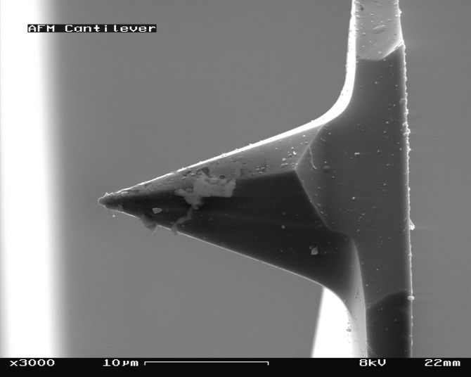 El microscopio más potente del mundo