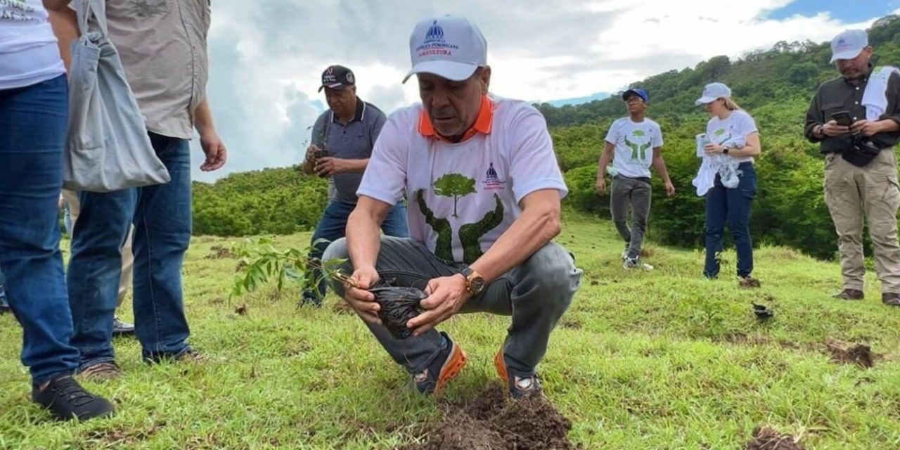 Ministerio de Agricultura siembra más de mil plantas en San Cristóbal