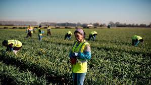 El poder y valor de la migración en la economía