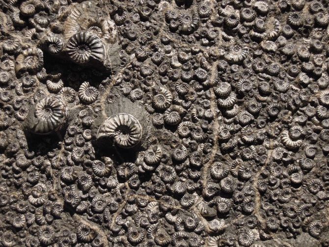 Sistemas para fechar el pasado: Desvelando los misterios de la historia