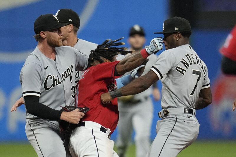 ¿Cuáles dominicanos han tenido pleitos en MLB?