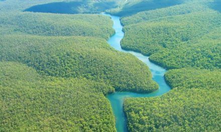 Un llamado al “mundo rico” para que pague por la selva