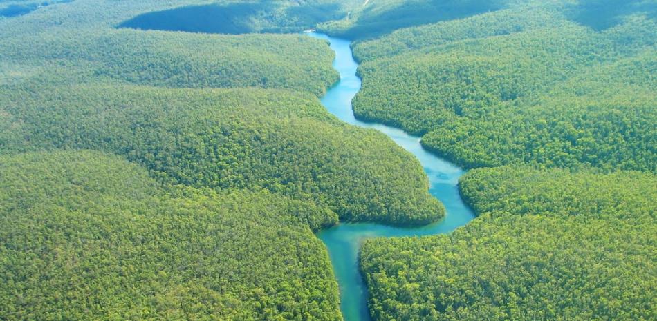 Un llamado al “mundo rico” para que pague por la selva