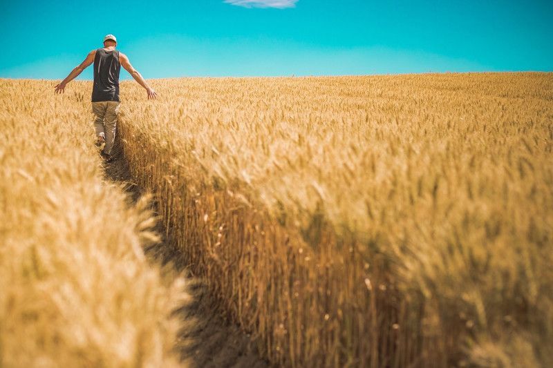 El Granjero de Osho: la importancia de los retos del tiempo