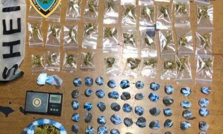 Autoridades policiales desmantelan punto de venta de drogas en Bonao