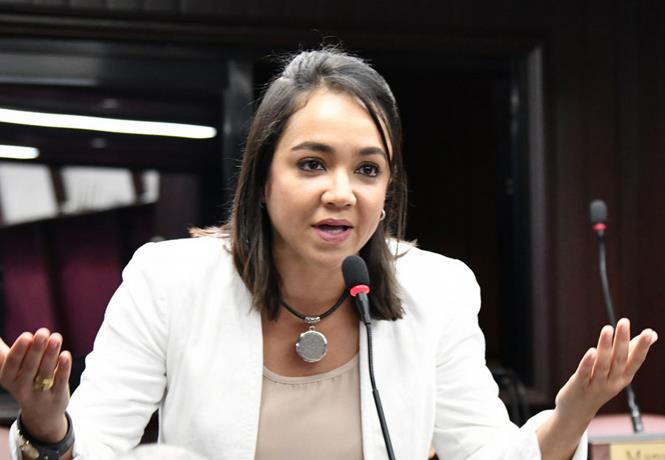Faride dice en el PRM hay precandidatos involucrados en hechos de violaciones sexuales