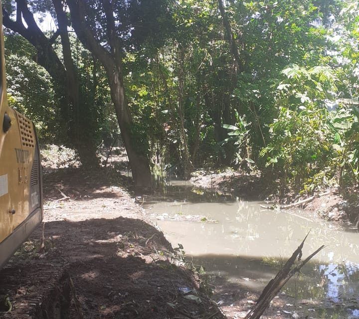 Ayuntamiento de San Cristóbal junto EGEHID retira en Hatillo árboles derribados y desechos tormenta Franklin