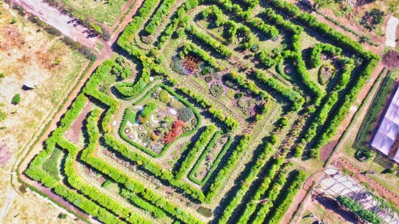 Un laberinto de plantas vivas en la Ciudad Corazón