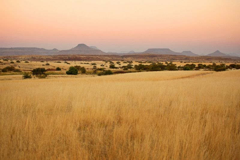 Sabanas y pastizales están ayudando a frenar el calentamiento global