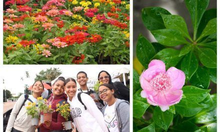 Festival Nacional de Plantas y Flores: un festín visual y educativo en el JBN