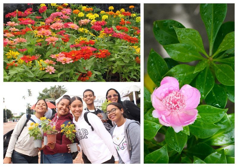 Festival Nacional de Plantas y Flores: un festín visual y educativo en el JBN
