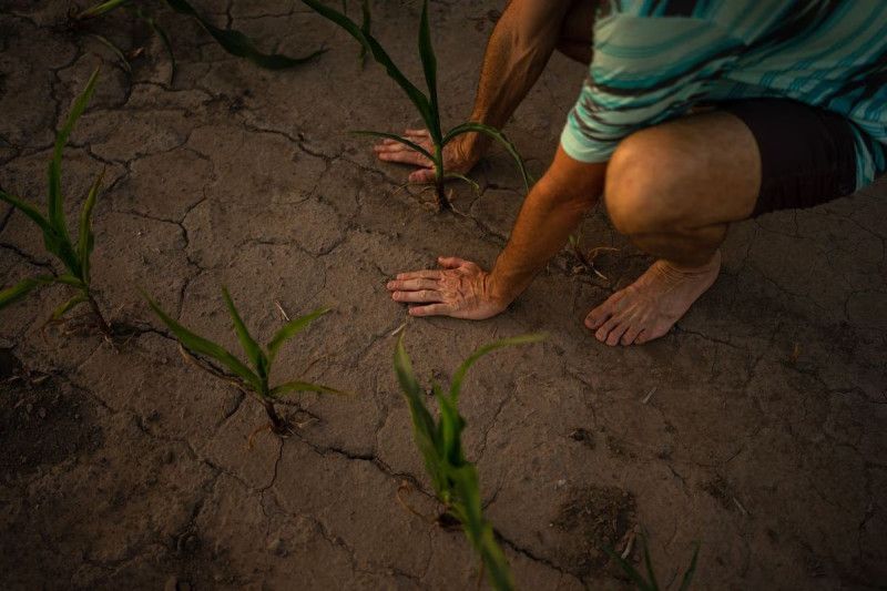 Países de América Latina afinan propuesta común para cumbre sobre cambio climático